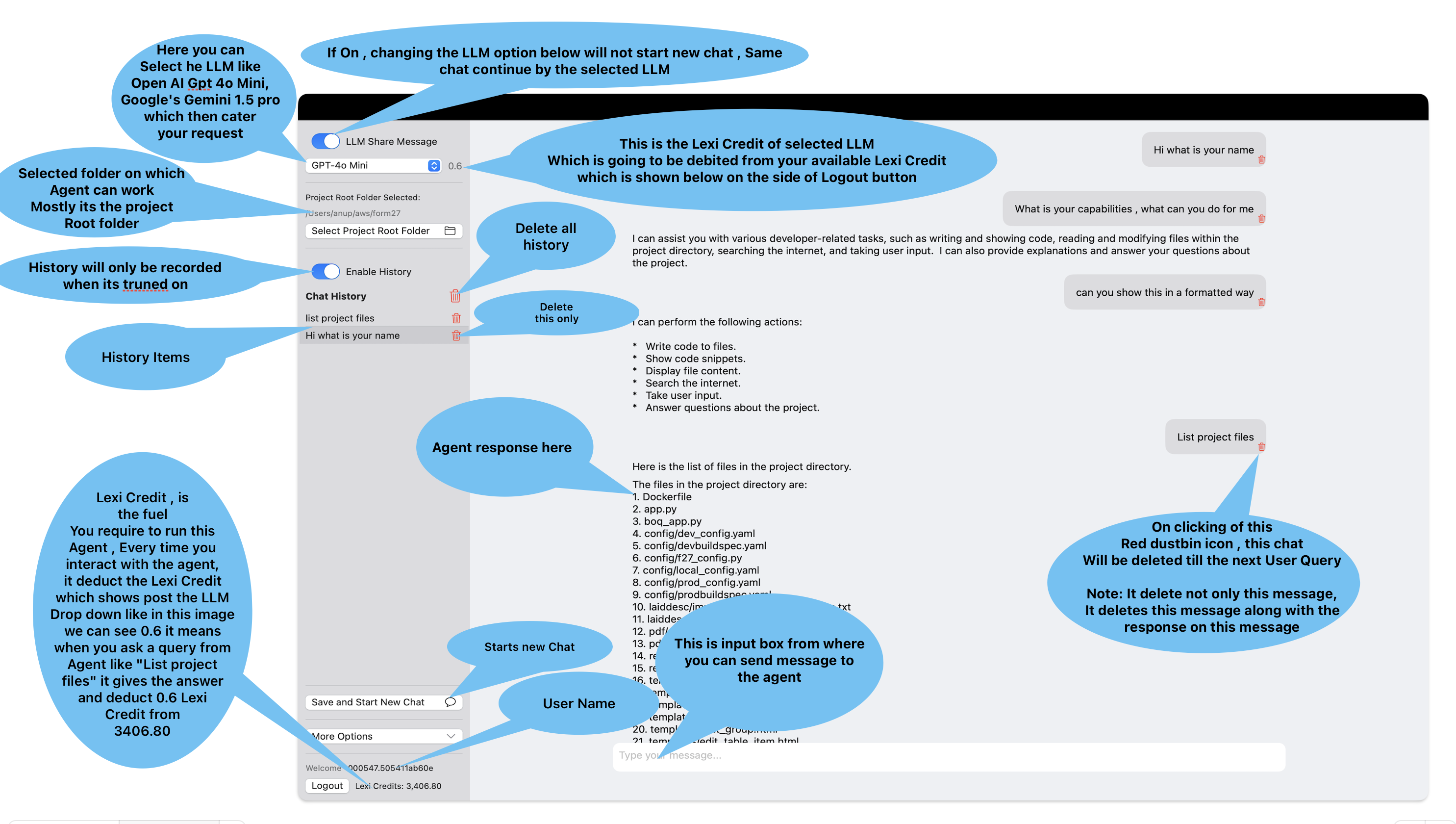 LexiNexiAI Guide Screenshot 1